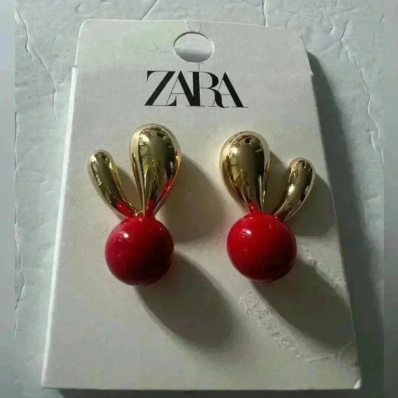 🔥🔥Zara Earrings - Picture 1 of 4